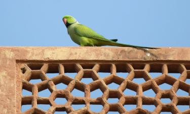 Hôtels à Kanpur