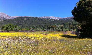 Semesterboenden i Piedralaves