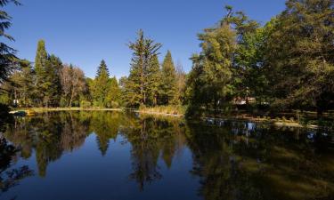 Hoteles baratos en Pedras Salgadas