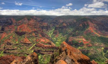 Hoteles en Waimea