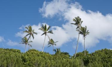 Hoteles familiares en Somerset