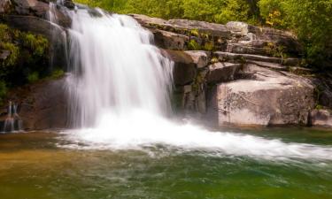 Hotels in El Bosque