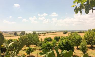 Holiday Rentals in Castellaneta