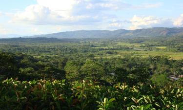 Hoteles en Moyobamba