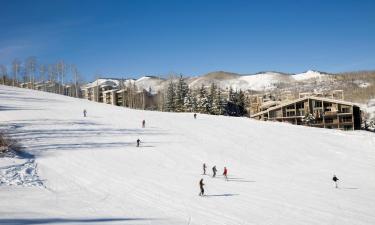 Vacation Rentals in Snowmass