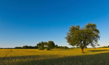 Готелі з парковкою у місті Драйайх