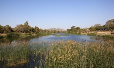 Hoteles en Sasan Gir