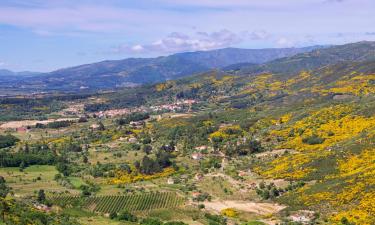 Guest Houses in Manteigas