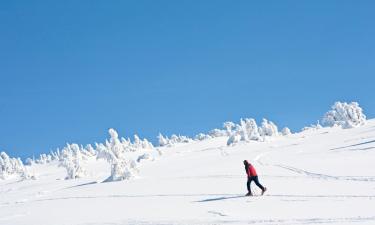 Ski Resorts in Ovronnaz
