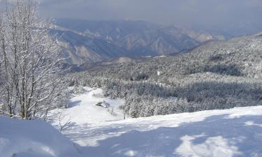 Ski Resorts in Iiyama