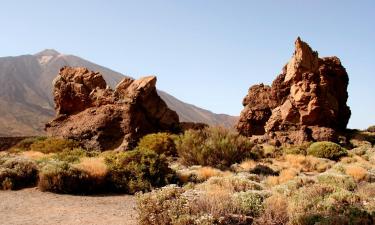 Hoteles en Guía de Isora