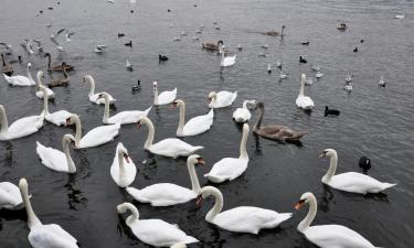 Parkimisega hotellid sihtkohas La Tour-de-Peilz