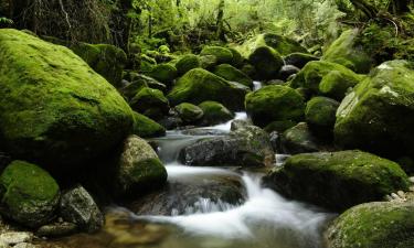 Ryokans in Yakushima