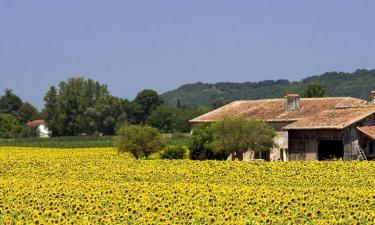Vacation Rentals in Orthevielle