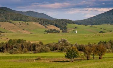 Beach rentals in Targanice