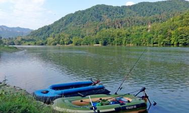 Hoteluri pentru familii în Brezoi