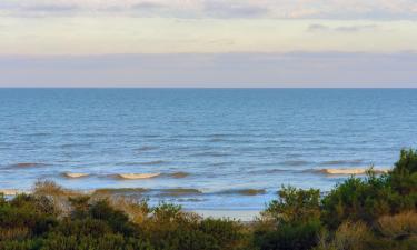 Cottages in Costa del Este