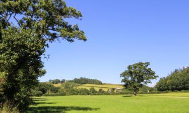 Holiday Homes in Cenarth