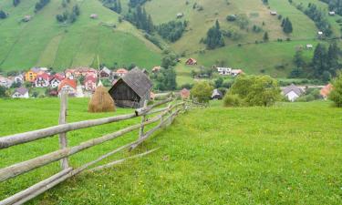 Guest Houses in Moieciu de Jos