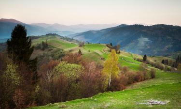 Hoteluri în Bacău