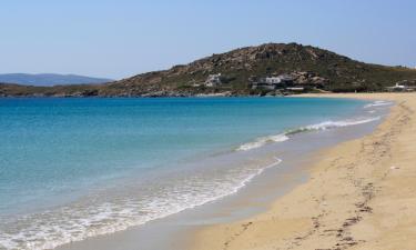 Hoteles de playa en Agios Prokopios