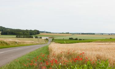 Ferieboliger i Saint-Fiacre-sur-Maine