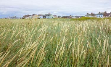 Cabanes i cottages a Allonby