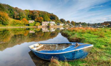 Hotels with Parking in Lerryn