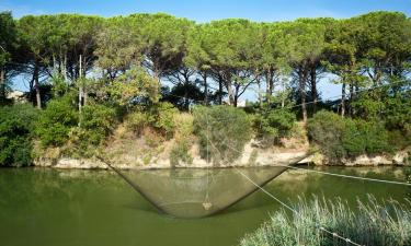 Vacaciones baratas en Cecina