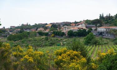 Allotjaments vacacionals a Fleri