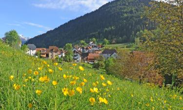 Holiday Rentals in Comeglians