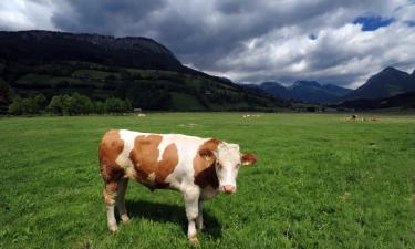 Hotellit kohteessa Bad Mitterndorf