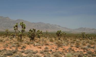 Hotels in Needles