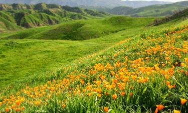 Vacaciones baratas en Chino Hills