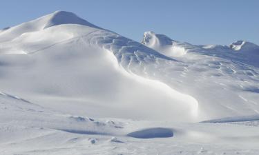 Lägenheter i Falls Creek