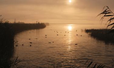 Landsteder i Deltebre