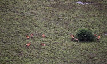 โรงแรมในAmakhala Game Reserve