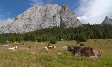 Hotels in San Vito di Cadore