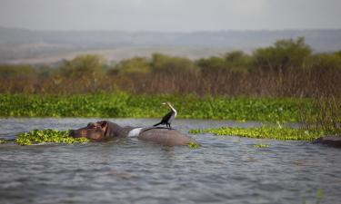 Hotel di Naivasha