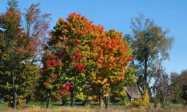 Hotels in Southfield