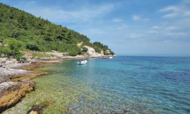 Sewaan penginapan tepi pantai di Babina