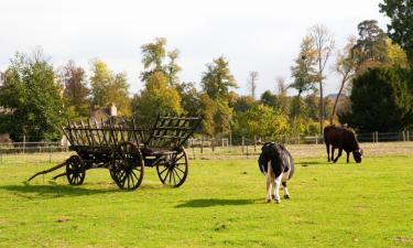 Hoteller med parkeringsplass i Castelnau-Montratier