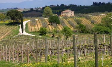 Farm stays in San Quirico dʼOrcia