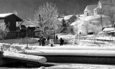 Hoteli v mestu Immenstadt im Allgäu