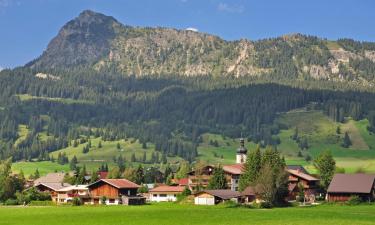 Apartments in Tannheim