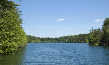 Отели в городе Уобёрн