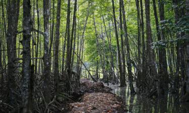 Hoteli s parkiralištem u gradu 'Can Gio'