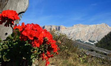 Apartaments a Barbiano