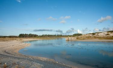 Hoteles en Mangonui