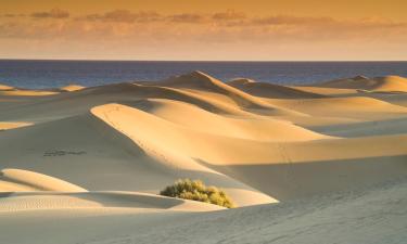 Hoteles en Port Alfred